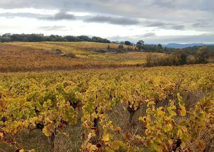 La Pastourelle * Saint-Chinian